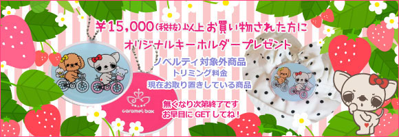 ノベルティープレゼント