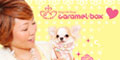 puppine(パピーヌ)ブログ