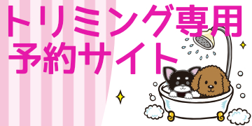CaramelBox大阪本店トリミング　インスタ
